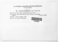 Image Associated With the Occurence